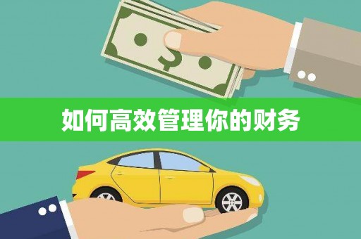 天元如何高效管理你的财务