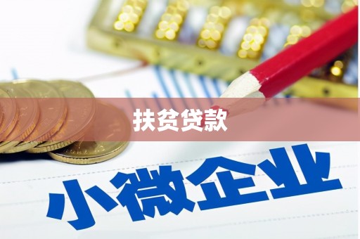 天元扶贫贷款