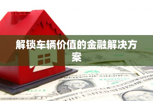 天元解锁车辆价值的金融解决方案