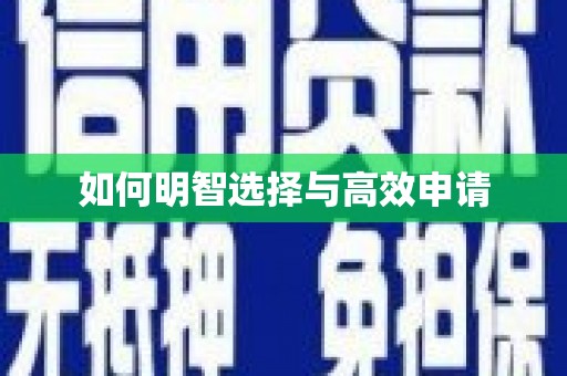 天元如何明智选择与高效申请
