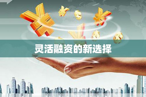天元灵活融资的新选择