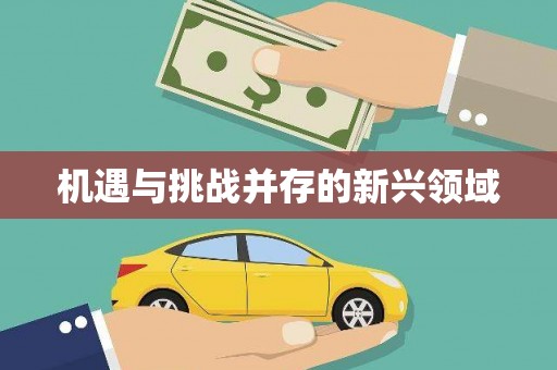 天元机遇与挑战并存的新兴领域