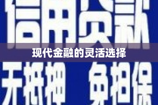 天元现代金融的灵活选择