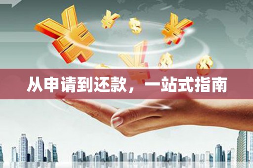 天元从申请到还款，一站式指南