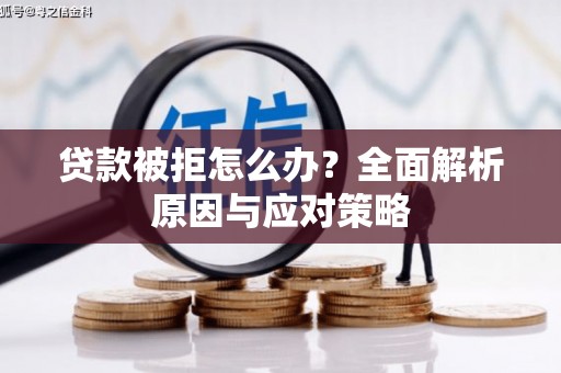 天元贷款被拒怎么办？全面解析原因与应对策略