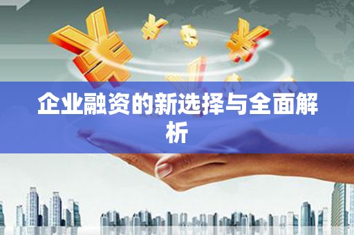 天元企业融资的新选择与全面解析