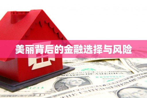 天元美丽背后的金融选择与风险