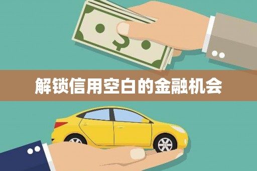 天元解锁信用空白的金融机会