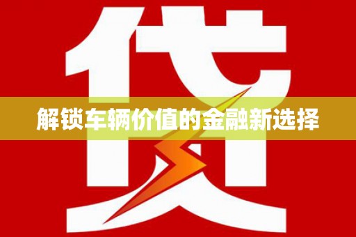 天元解锁车辆价值的金融新选择