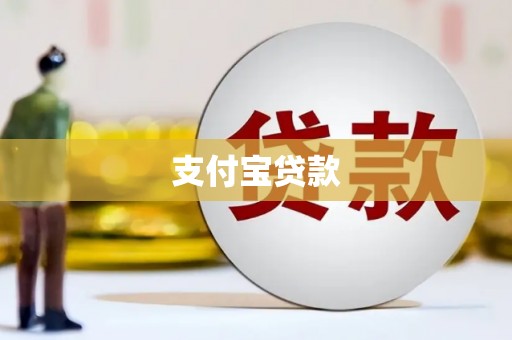 天元支付宝贷款