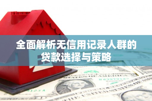 天元全面解析无信用记录人群的贷款选择与策略
