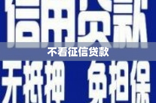 天元不看征信贷款