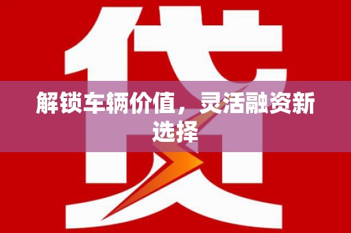 天元解锁车辆价值，灵活融资新选择