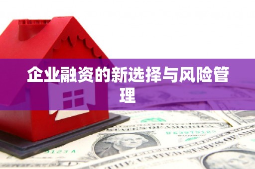 天元企业融资的新选择与风险管理