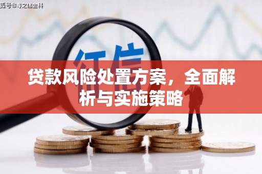天元贷款风险处置方案，全面解析与实施策略