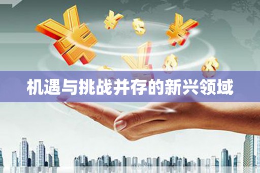 天元机遇与挑战并存的新兴领域