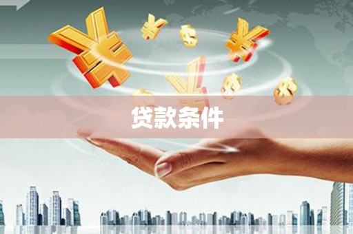 天元贷款条件