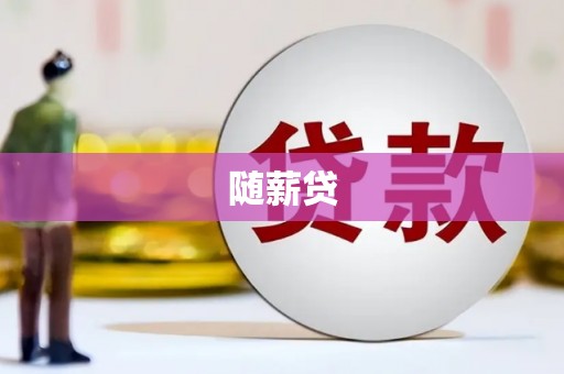 天元随薪贷