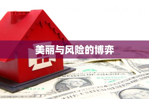 天元美丽与风险的博弈