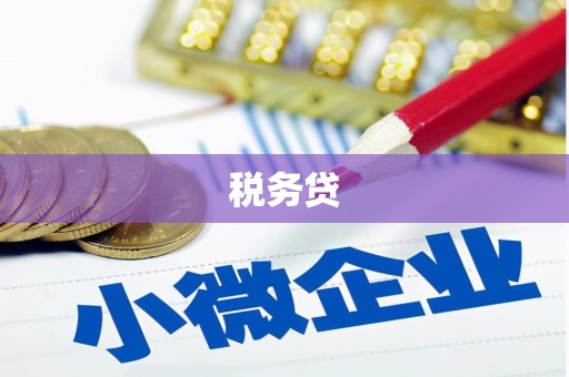 天元税务贷