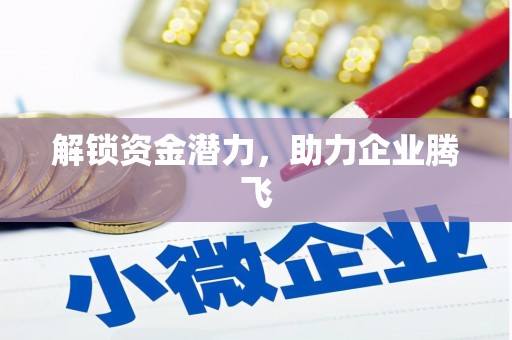 天元解锁资金潜力，助力企业腾飞