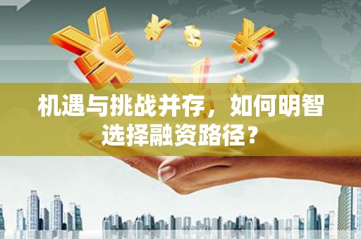天元机遇与挑战并存，如何明智选择融资路径？