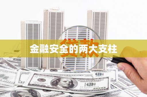 天元金融安全的两大支柱