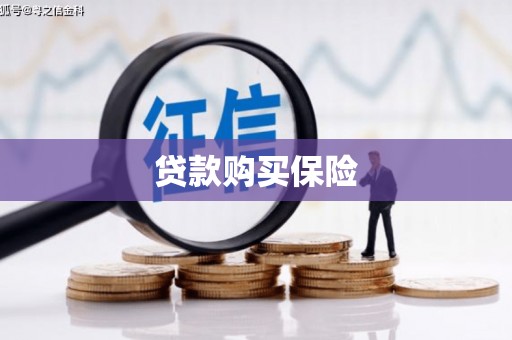 天元贷款购买保险