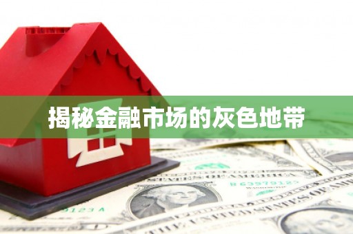 天元揭秘金融市场的灰色地带