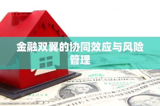 天元金融双翼的协同效应与风险管理