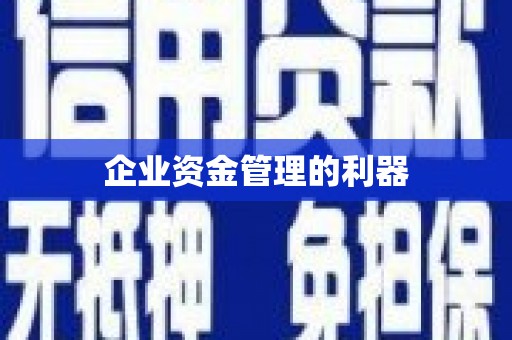 天元企业资金管理的利器