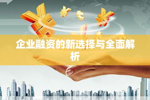 天元企业融资的新选择与全面解析