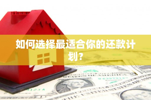 天元如何选择最适合你的还款计划？