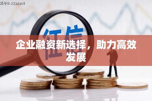 天元企业融资新选择，助力高效发展