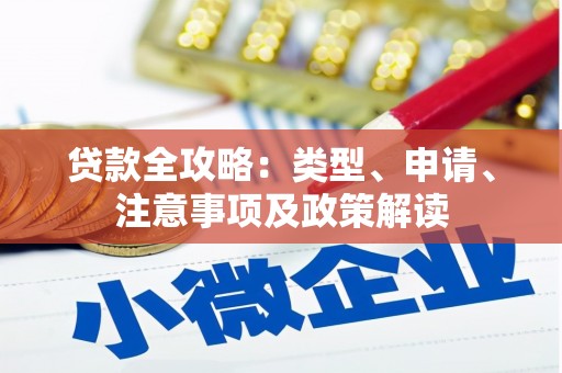 天元贷款全攻略：类型、申请、注意事项及政策解读