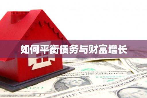 天元如何平衡债务与财富增长