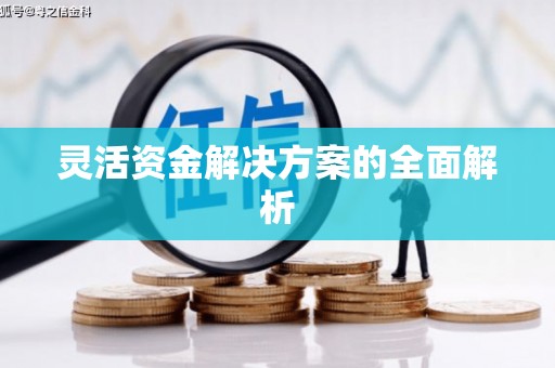 天元灵活资金解决方案的全面解析