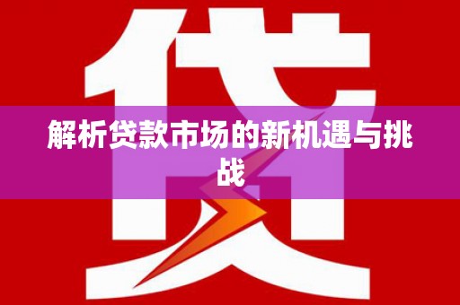 天元解析贷款市场的新机遇与挑战