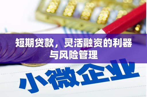 天元短期贷款，灵活融资的利器与风险管理