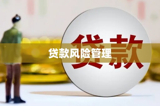 天元贷款风险管理