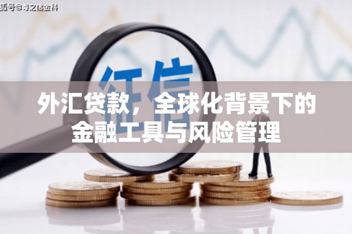 天元外汇贷款，全球化背景下的金融工具与风险管理