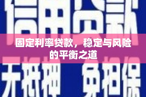天元固定利率贷款，稳定与风险的平衡之道