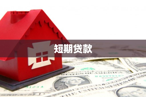 天元短期贷款