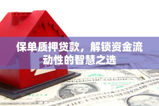 天元保单质押贷款，解锁资金流动性的智慧之选