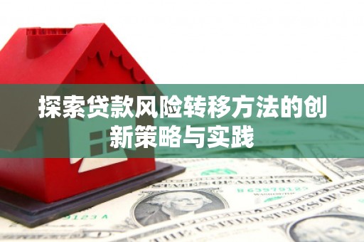 天元探索贷款风险转移方法的创新策略与实践