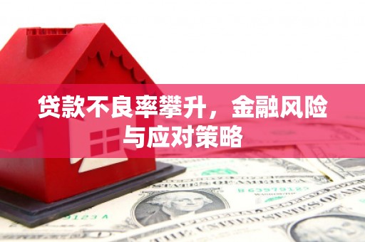 天元贷款不良率攀升，金融风险与应对策略