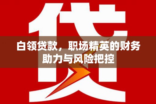 天元白领贷款，职场精英的财务助力与风险把控
