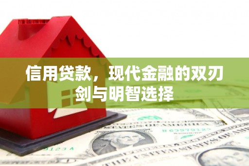 天元信用贷款，现代金融的双刃剑与明智选择