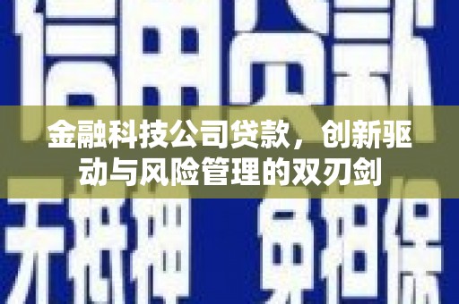 天元金融科技公司贷款，创新驱动与风险管理的双刃剑