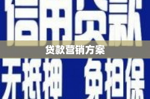 天元贷款营销方案